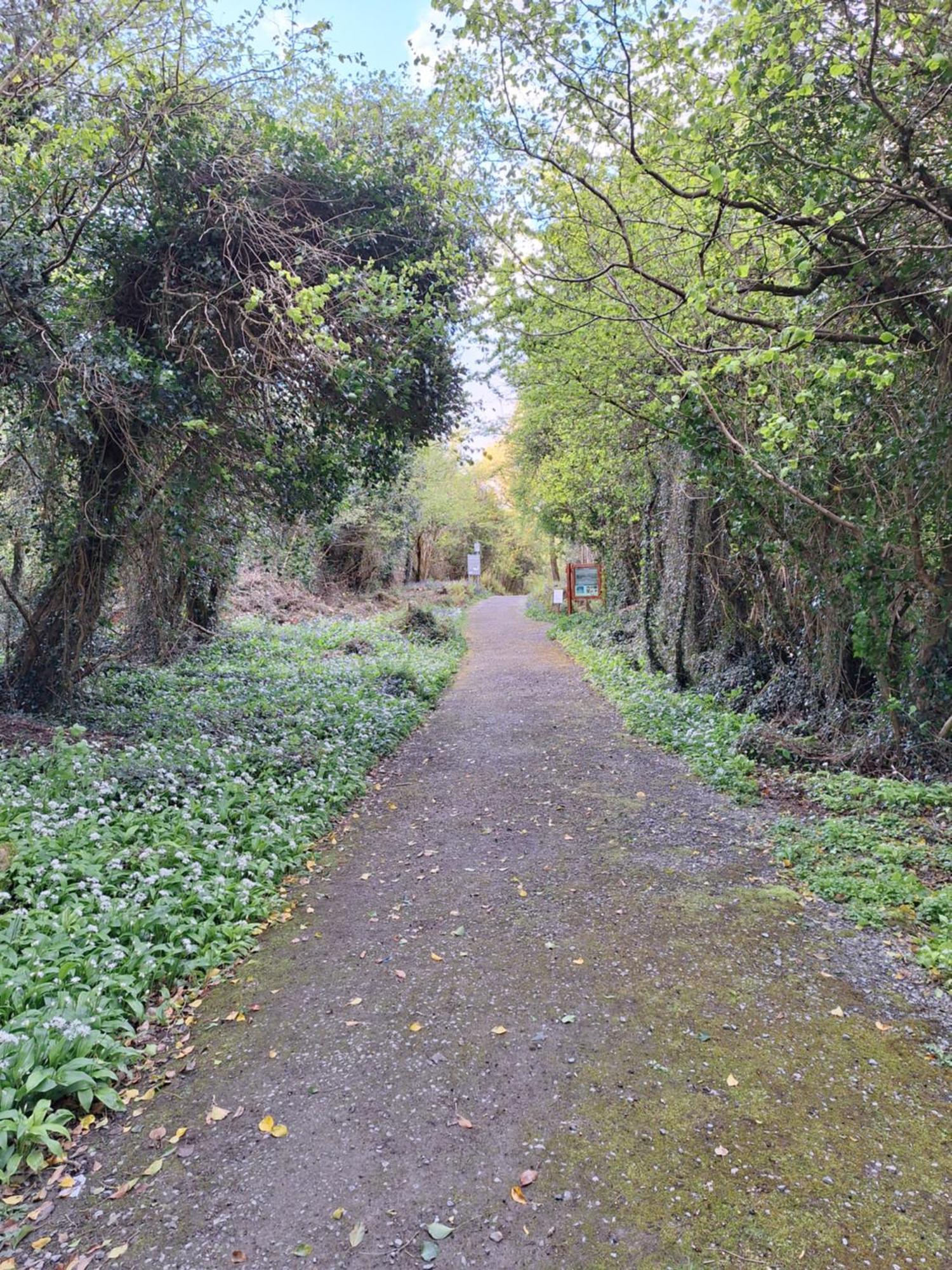 Ard Aoibhinn Roscommon Lecarrow Εξωτερικό φωτογραφία