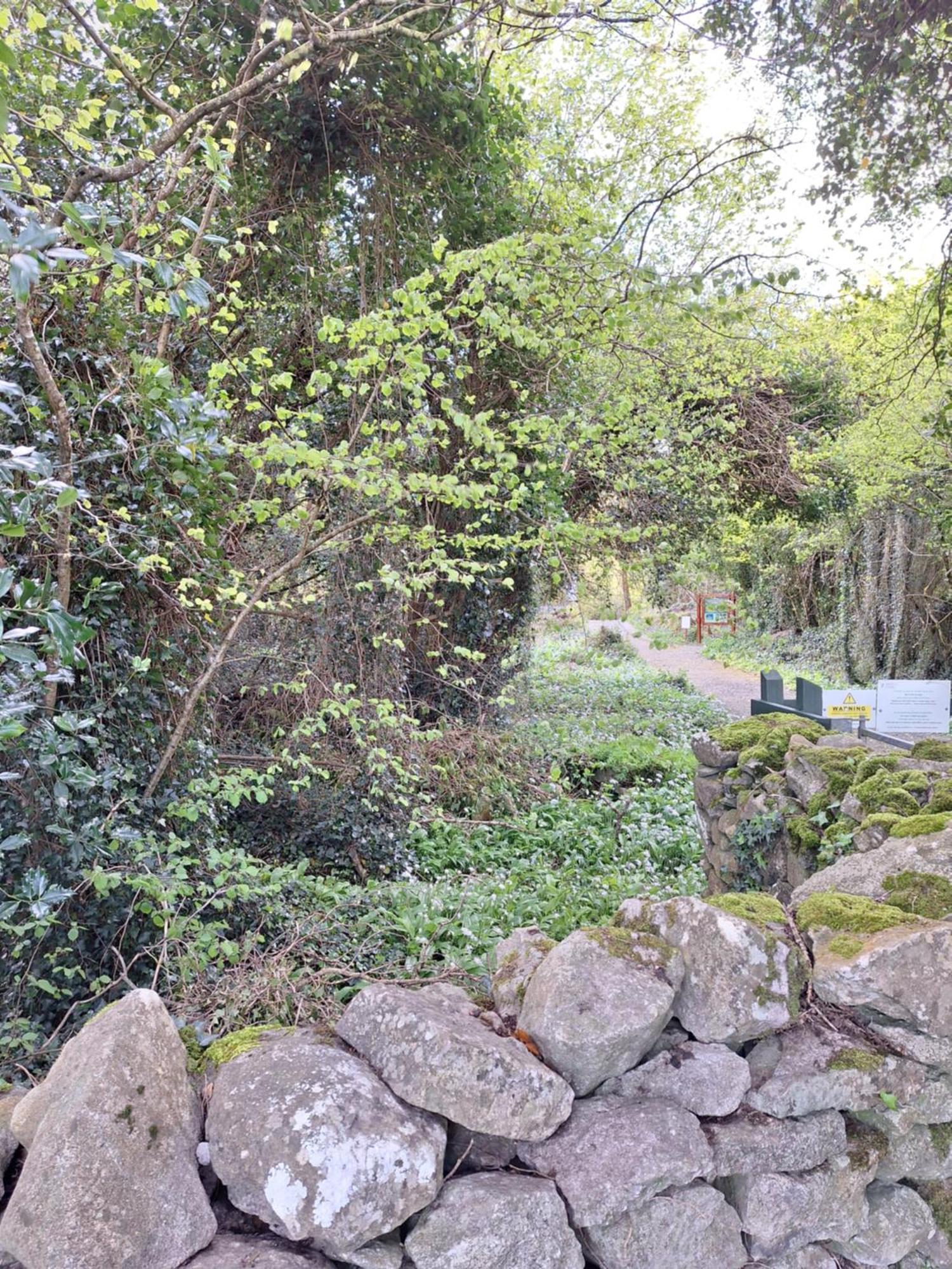 Ard Aoibhinn Roscommon Lecarrow Εξωτερικό φωτογραφία